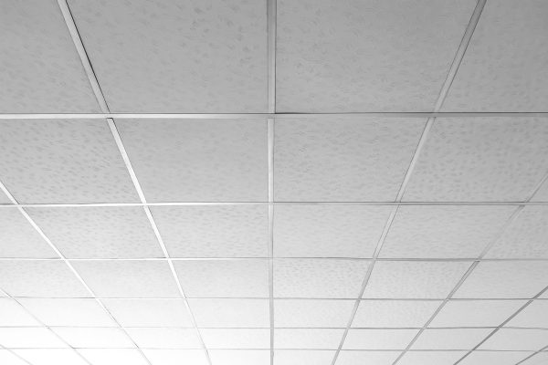 IStock 1368736917 Scaled